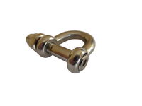 Produktbild D-Schäkel 6 mm MICRO Edelstahl