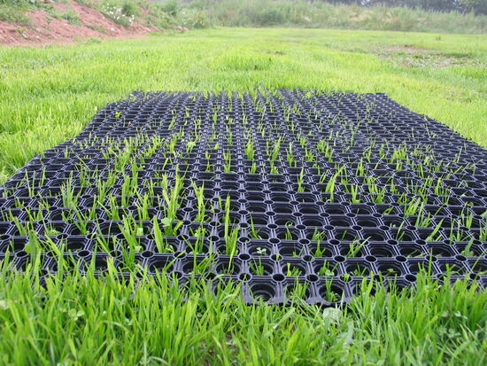 Produktbild Rasengittermatte - Rasengitterplatte Stärke 65 mm #3